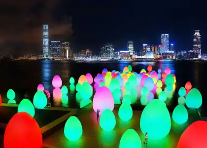 teamlab hong kong artwork resonating life which continues to stand installation