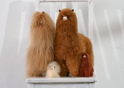 ÄYA Alpaca family of alpaca soft toys on bench