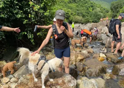 exploring dogs lola and stephanie lown trekking in river