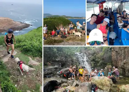 exploring dogs group photos from different trips