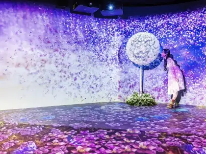 Naked Flowers Interactive Exhibition by NAKED, Inc.