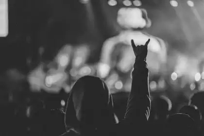 rock fan