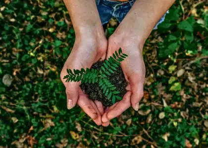 person holding young plant Why do we celebrate Earth Day, and when is it?