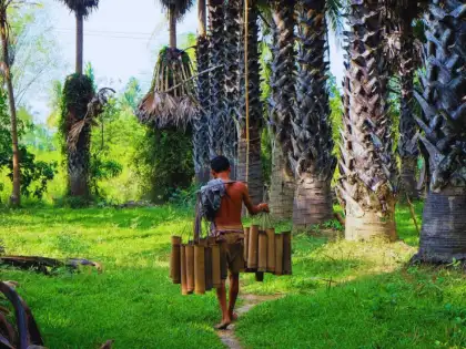 Local Wisdom Education Trip: Sugar Plum Orchard and Sea Salt Farming