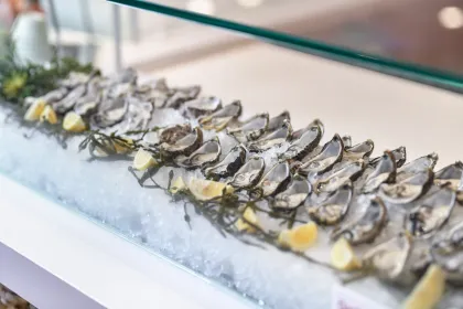 Fresh Oysters over Ice
