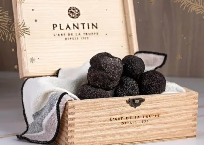 plantin kaviari black truffle
