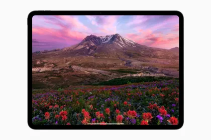 Apple iPad Pro Retina RDX Display