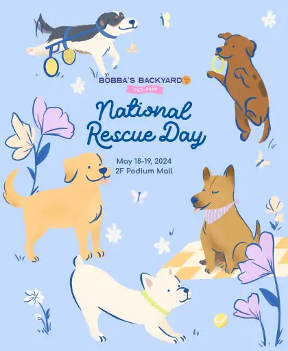 Bobba’s Backyard National Rescue Day