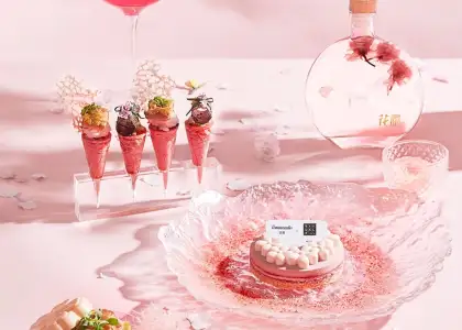 pink sakura themed tea set