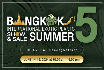 Bangkok International Exotic Plants Show and Sale 'Summer' 5