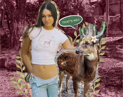 Blackbough's collection is inspired by the Visayan spotted deer