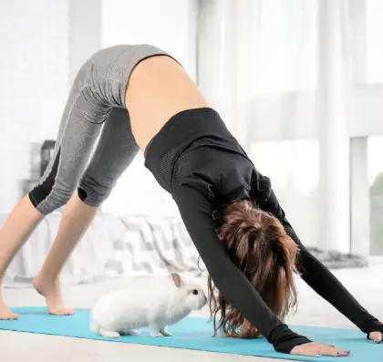 Bunny yoga