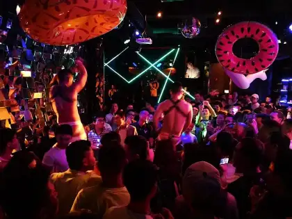 dance performers wink