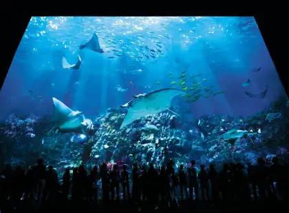Grand Aquarium