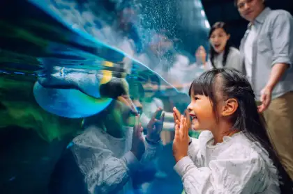 South Pole Spectacular