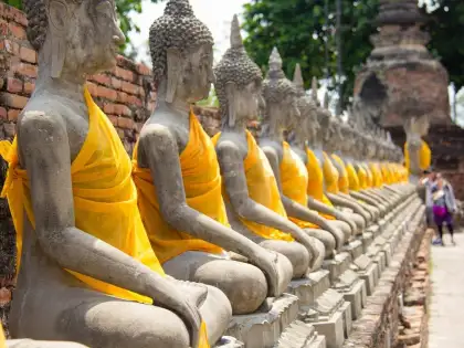 Row of Buddhas in yellow