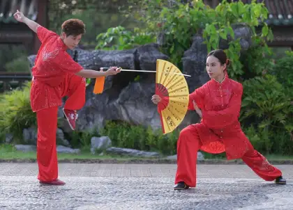 kung fu dance canival