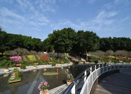Lake view of Tai Po Waterfront