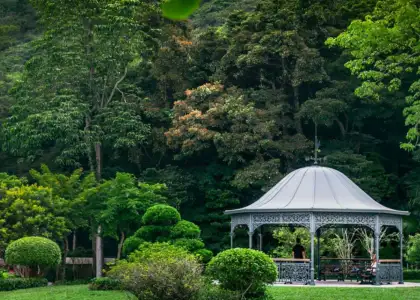 A picture of Victoria Peak Garden