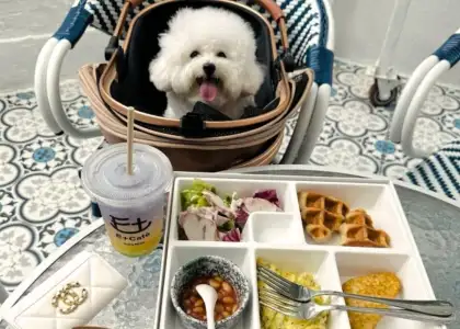 Image featuring E+ Café