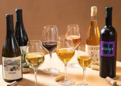wines and glasses