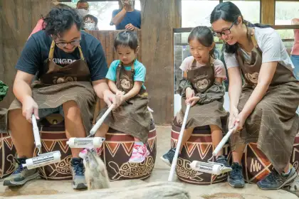 Meet the Meerkats at Ocean Park HK