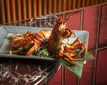 Lobster dish with red background