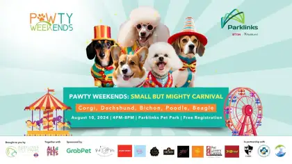 PAWty Weekends: Small But Mighty Carnival