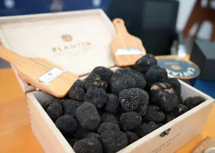 Plantin Kaviari truffles
