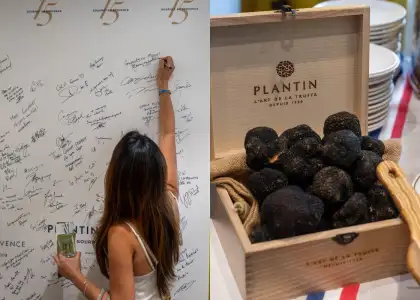 Plantin Kaviari 15th anniversary