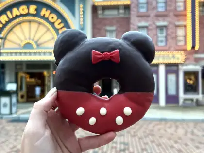 Minnie Doughnut