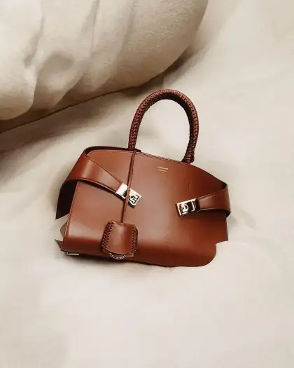 The Ferragamo Hug bag