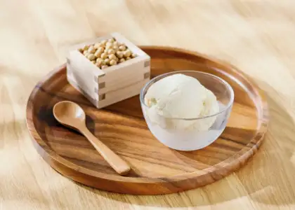 Tofu Ice cream