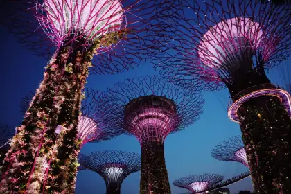 Supertrees at Gardens by the Bay