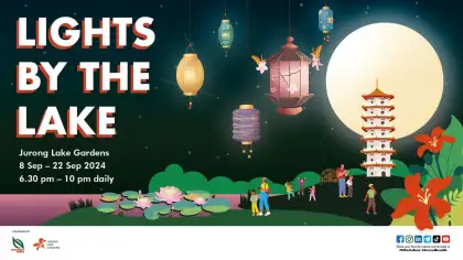 5. Lights by the Lake 2024