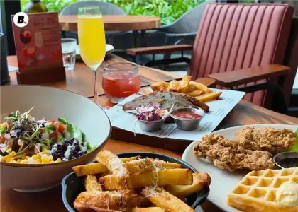 Single Origin Favorites