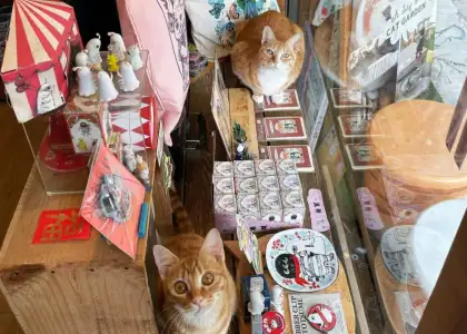 Cats and Merch at Cat Garden