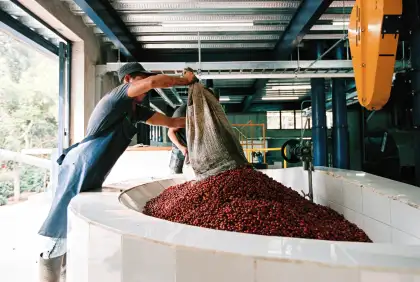 St. ALi aims to spotlight coffee growers and producers