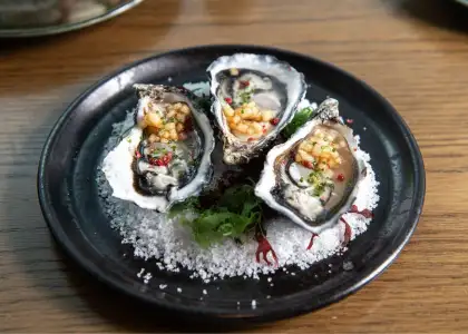 Freshly shucked oysters