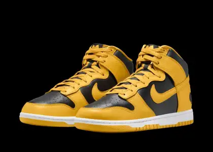 The Nike Dunk