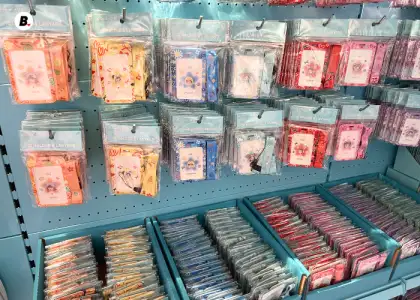 NBS x BINI ID Holders