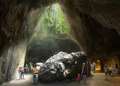 Embark On Your Next Adventure at Rainforest Wild Asia Singapore