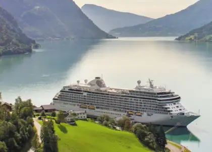 Cruise stop