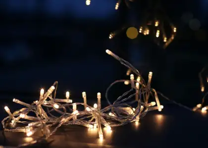 Christmas lights should be certified by recognised safety authorities.