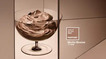 Color fans, Pantone’s 2025 Color of the Year is Mocha Mousse!
