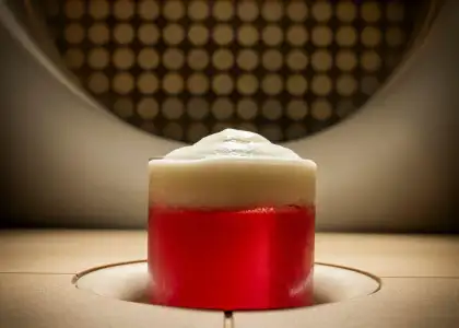 Berry and cheesecake