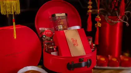 THE GIFT OF NIAN GAO