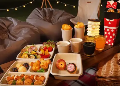 Starlight picnic package
