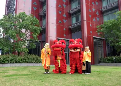 Lion dance