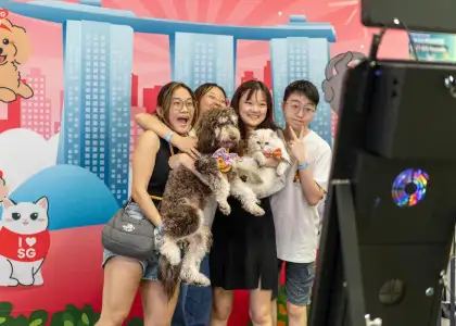 Singapore Cat Carnival